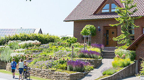 Vorgarten mit Natursteinmauer und Staudenpflanzung in Bad Driburg