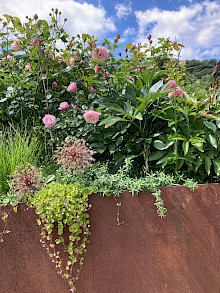 Hochbeet aus Cortenstahl in einem Garten in Borchen mit diversen Stauden bepflanzt.