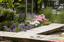 Naturnaher Garten in Borchen mit Holzsteg und intensiver Bepflanzung aus bunten Stauden und Gräsern.