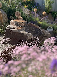Quellstein aus Grauwacke mit rosa-lila Staudenbepflanzung in einem Garten in Lichtenau.