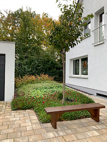 Vorgarten eines Hauses in Paderborn mit Holzbank, Solitärbaum und Staudenbeet in gepflasterter Einfahrt.