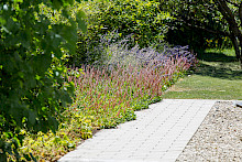 Privatgarten in paderborn mit Pflasterweg und angrenzender Kiestraufe sowie intiensiv bepflanztem Beet aus Stauden und Gehölzen.