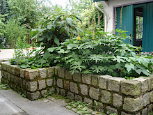 Hochbeet in Paderborn aus Granitgroßpflaster gemauert und Beton verfugt.