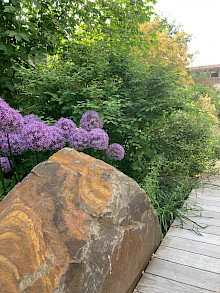 Findling au sGrauwacke in einem Garten in Paderborn mit angrenzendem Holzdeck und Bepflanzung.