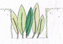Skizze selbst geplanter Sichtschutzelemente in Form von großen Bambusblättern in unterschiedlichen Grüntönen.